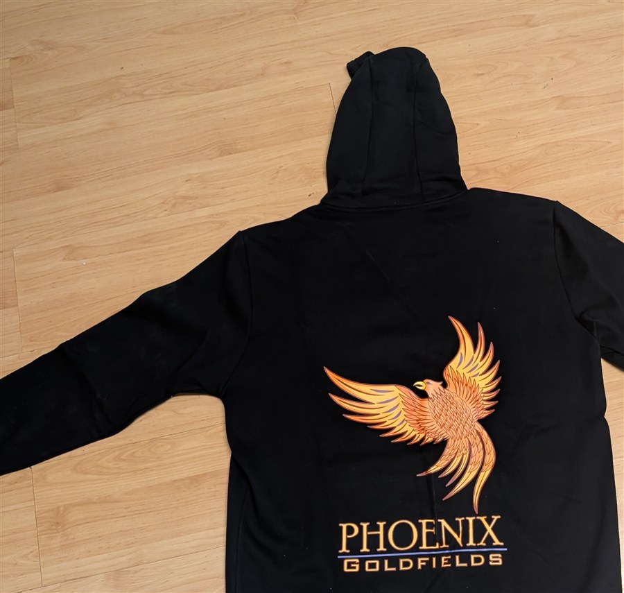 Phoenix Goldfields black hoodie — back view with large embroidered phoenix design